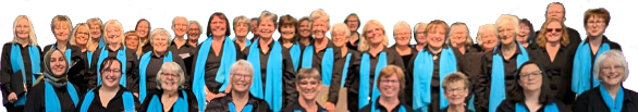 Choir Banner: the head & shoulders of various members of the choir past and present, all smiling, arranged in a row